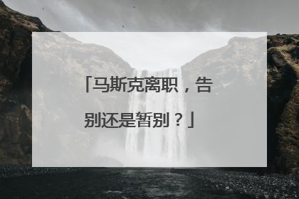 马斯克离职，告别还是暂别？