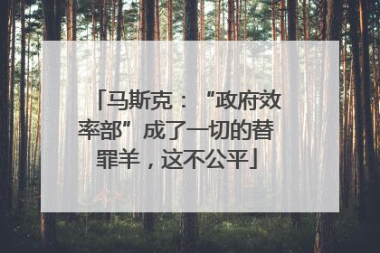 马斯克：“政府效率部”成了一切的替罪羊，这不公平