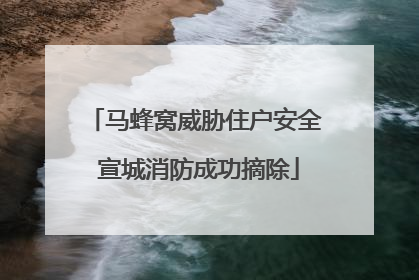马蜂窝威胁住户安全 宣城消防成功摘除