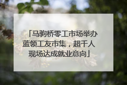 马驹桥零工市场举办蓝领工友市集，超千人现场达成就业意向