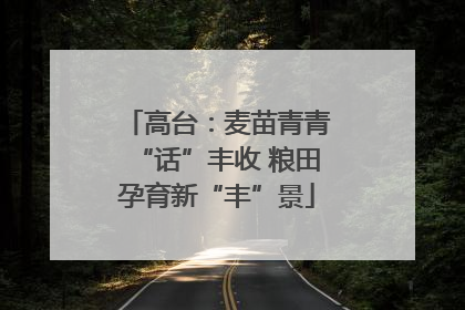 高台：麦苗青青“话”丰收 粮田孕育新“丰”景