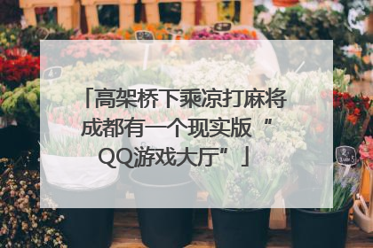 高架桥下乘凉打麻将 成都有一个现实版“QQ游戏大厅”