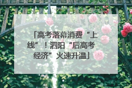 高考落幕消费“上线”！泗阳“后高考经济”火速升温