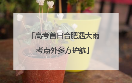 高考首日合肥遇大雨 考点外多方护航