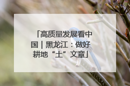 高质量发展看中国｜黑龙江：做好耕地“土”文章