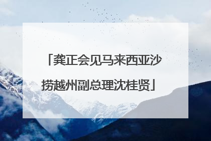 龚正会见马来西亚沙捞越州副总理沈桂贤