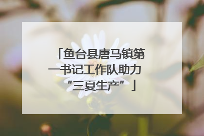 鱼台县唐马镇第一书记工作队助力“三夏生产”