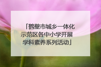 鹤壁市城乡一体化示范区各中小学开展学科素养系列活动