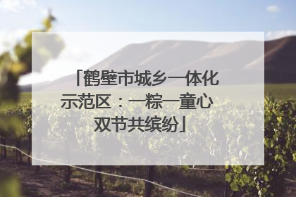 鹤壁市城乡一体化示范区：一粽一童心 双节共缤纷