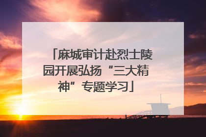 麻城审计赴烈士陵园开展弘扬“三大精神”专题学习