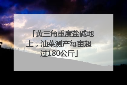 黄三角重度盐碱地上，油菜测产每亩超过180公斤