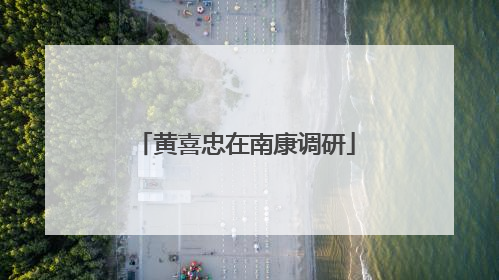 黄喜忠在南康调研