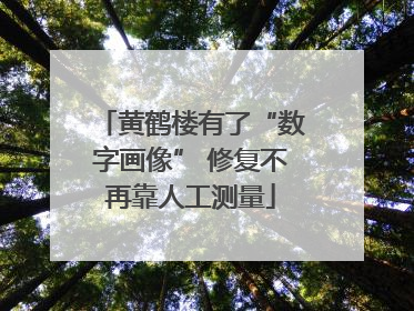 黄鹤楼有了“数字画像” 修复不再靠人工测量