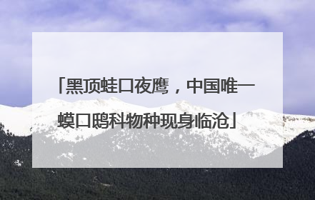 黑顶蛙口夜鹰，中国唯一蟆口鸱科物种现身临沧