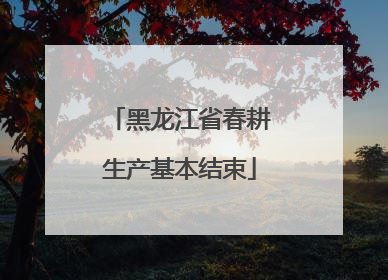 黑龙江省春耕生产基本结束