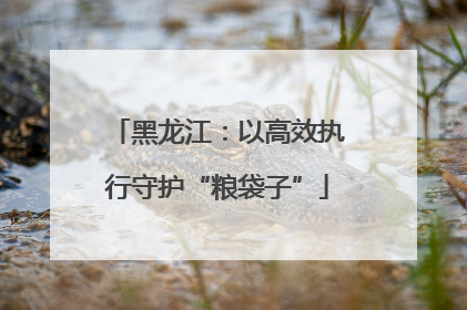 黑龙江：以高效执行守护“粮袋子”