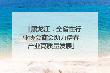 黑龙江：全省性行业协会商会助力伊春产业高质量发展