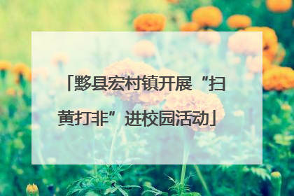 黟县宏村镇开展“扫黄打非”进校园活动