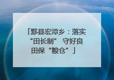 黟县宏潭乡：落实“田长制” 守好良田保“粮仓”