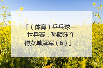 （体育）乒乓球——世乒赛：孙颖莎夺得女单冠军（6）