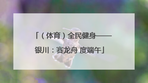 （体育）全民健身——银川：赛龙舟 度端午