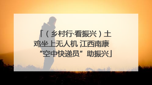 （乡村行·看振兴）土鸡坐上无人机 江西南康“空中快递员”助振兴