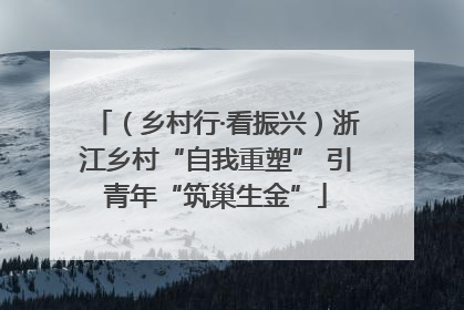 （乡村行·看振兴）浙江乡村“自我重塑” 引青年“筑巢生金”