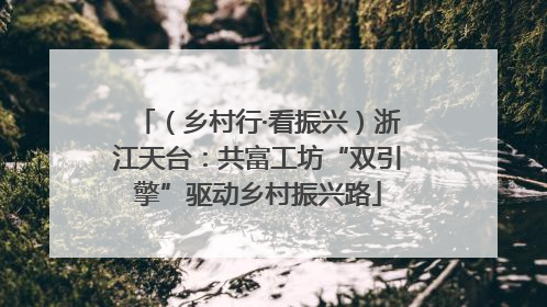（乡村行·看振兴）浙江天台：共富工坊“双引擎”驱动乡村振兴路