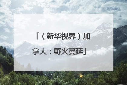 （新华视界）加拿大：野火蔓延