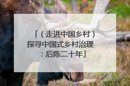 （走进中国乡村）探寻中国式乡村治理：后陈二十年