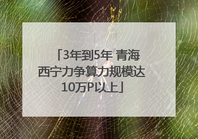 3年到5年 青海西宁力争算力规模达10万P以上