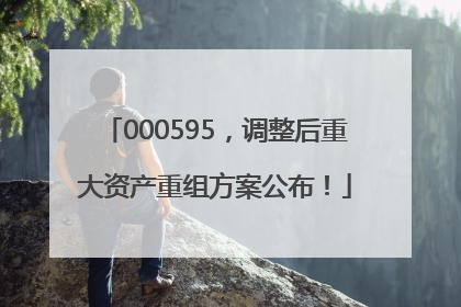 000595，调整后重大资产重组方案公布！