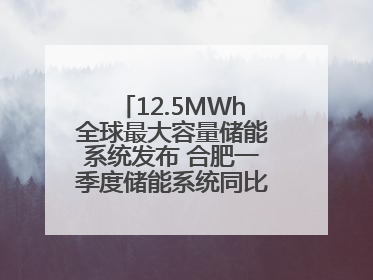 12.5MWh全球最大容量储能系统发布 合肥一季度储能系统同比增长425%