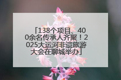 138个项目、400余名传承人齐聚！2025大运河非遗旅游大会在聊城举办