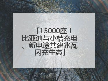 15000座！比亚迪与小桔充电、新电途共建兆瓦闪充生态