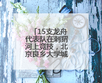 15支龙舟代表队在刺猬河上竞技，北京良乡大学城举办龙舟赛