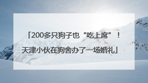 200多只狗子也“吃上席”！天津小伙在狗舍办了一场婚礼