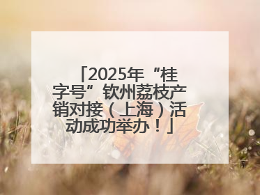 2025年“桂字号”钦州荔枝产销对接（上海）活动成功举办！