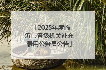 2025年度临沂市各级机关补充录用公务员公告