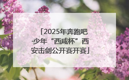 2025年奔跑吧·少年“西咸杯”西安击剑公开赛开赛