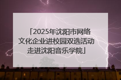 2025年沈阳市网络文化企业进校园双选活动走进沈阳音乐学院