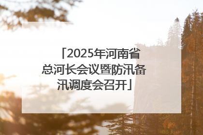 2025年河南省总河长会议暨防汛备汛调度会召开