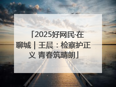 2025好网民·在聊城｜王晨：检察护正义 青春筑晴朗