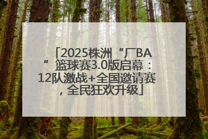 2025株洲“厂BA”篮球赛3.0版启幕：12队激战+全国邀请赛，全民狂欢升级
