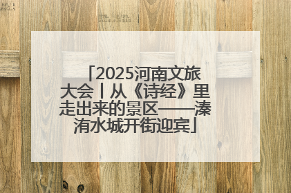 2025河南文旅大会丨从《诗经》里走出来的景区——溱洧水城开街迎宾