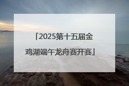 2025第十五届金鸡湖端午龙舟赛开赛