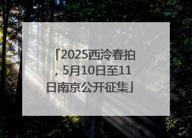 2025西泠春拍，5月10日至11日南京公开征集