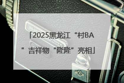 2025黑龙江“村BA”吉祥物“隆隆”亮相