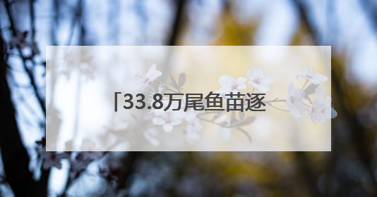 33.8万尾鱼苗逐浪入海！如东促进海洋渔业可持续发展