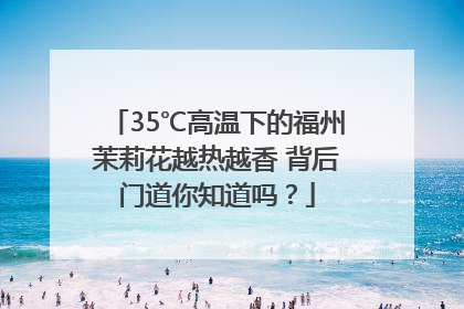 35℃高温下的福州茉莉花越热越香 背后门道你知道吗？